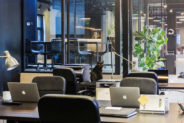 鋼結構舊廠房辦公室辦公區裝修設計效果圖